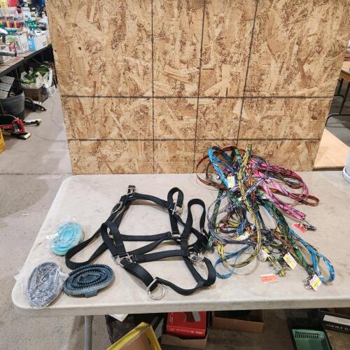Horse halters, brushes, dog collars
