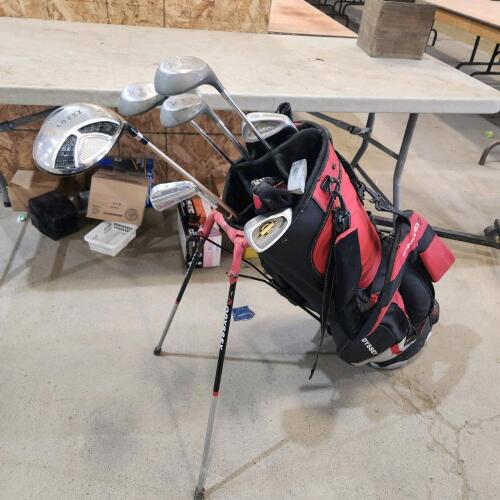 Golf clubs w bag
