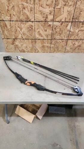 Compound bow and arrows