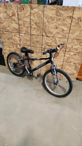 20" Bike needs some work