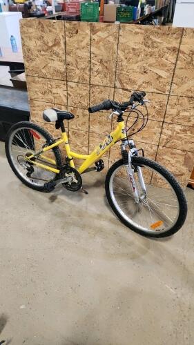 24" Bike needs work