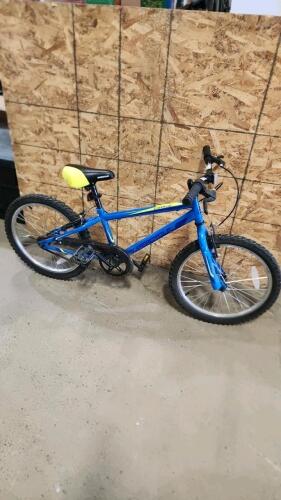 20" Bike