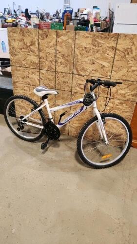 24" Bike