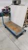 24"x48" Metal cart