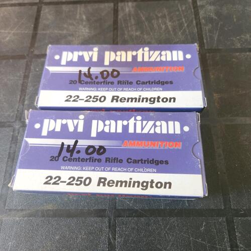 40 22-250 Bullets