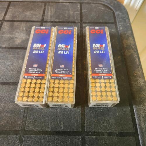 300 22 Cal long bullets