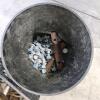 Various C clamps, large bolts, etc. - 2