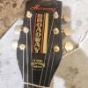 Harmony guitar - 2