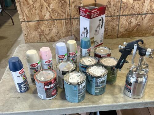 Paint, paint gun