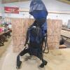 Kid backpack carrier