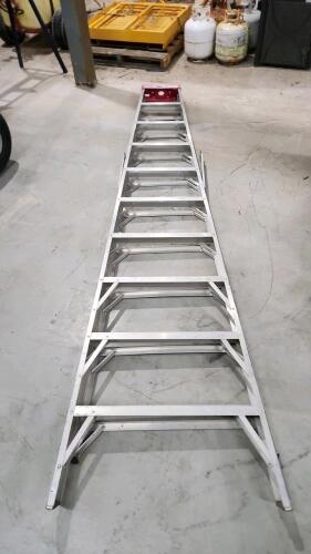 10' Alum step ladder
