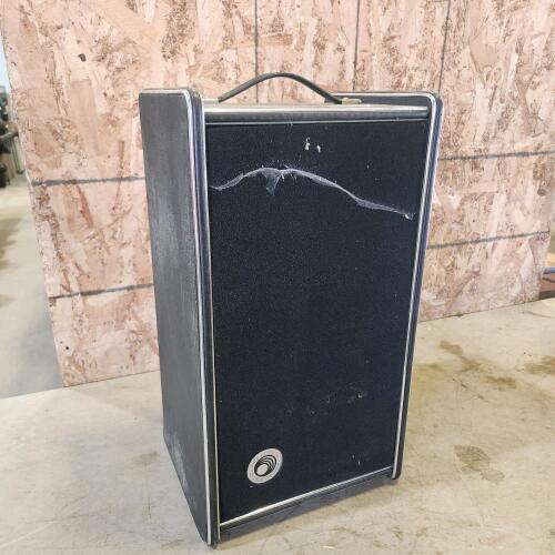 Voice projector