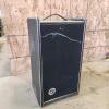 Voice projector