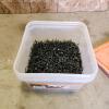 Opened container of 6&times;1 5/8" drywall screws