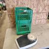 2 Milk crates, bathroom scale