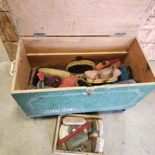 Horse grooming supplies