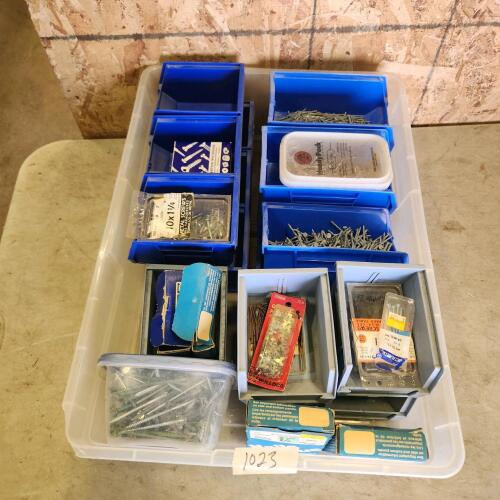 Various sized nails & screws