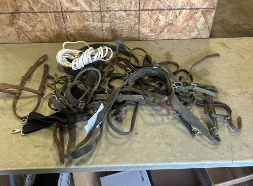 Assorted horse tack