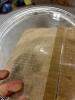 PYREX pie plates - 4
