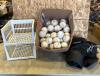 Softballs, junior large hockey pants, shelves