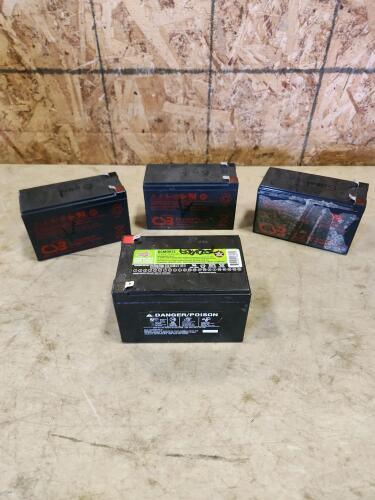 12V AGM batteries