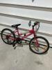 20&rdquo; Kids bike