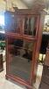Showcase cabinet 29&rdquo; x 66&rdquo;