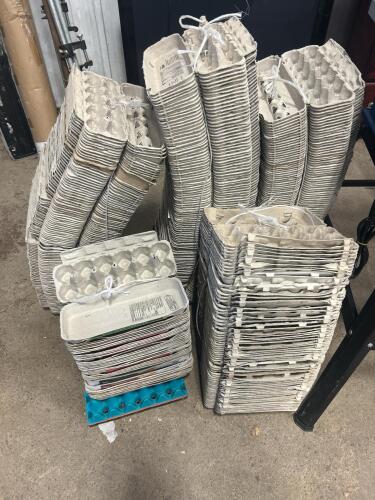 Over 300 used egg cartons