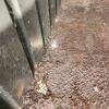 2006 6'x14' Livestock trailer w ownership, floor rusted through in spots - 6