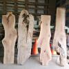 4 Various sized live edge wood slabs