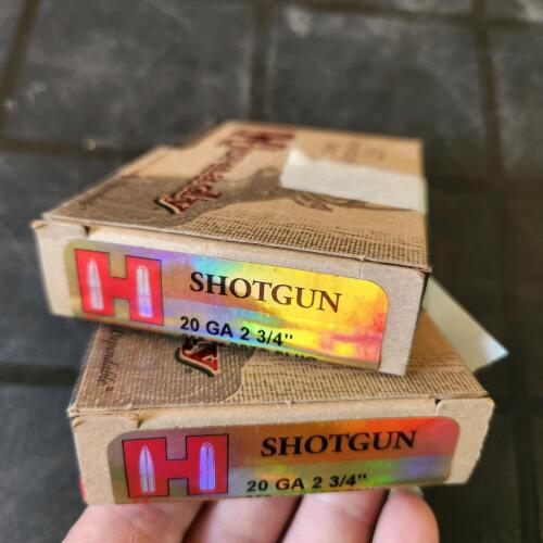 10 20 ga shotgun slugs, PAL needed