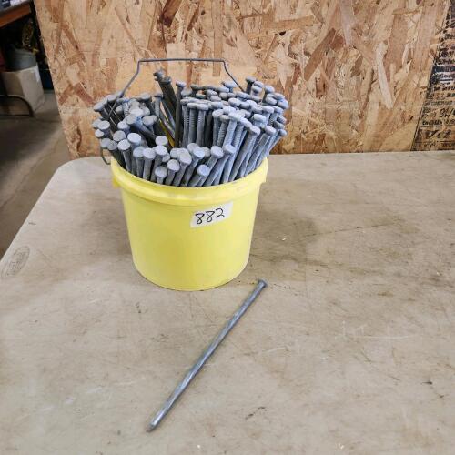 Pail of 10" Spiral lags