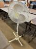 Pedestal fan