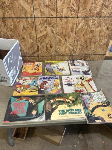 Calvin and Hobbes collection books