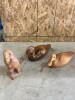 Wooden birds