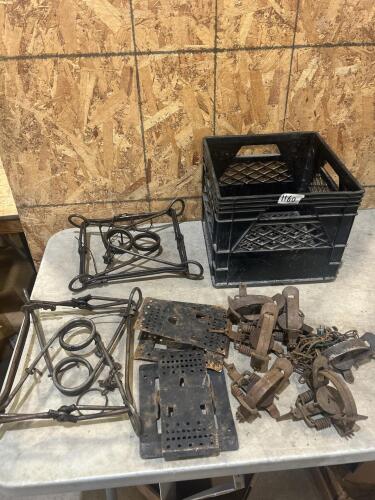 Conibear & foot traps