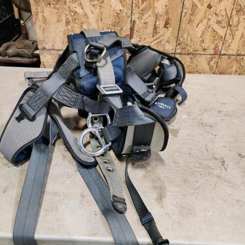 Safety harness