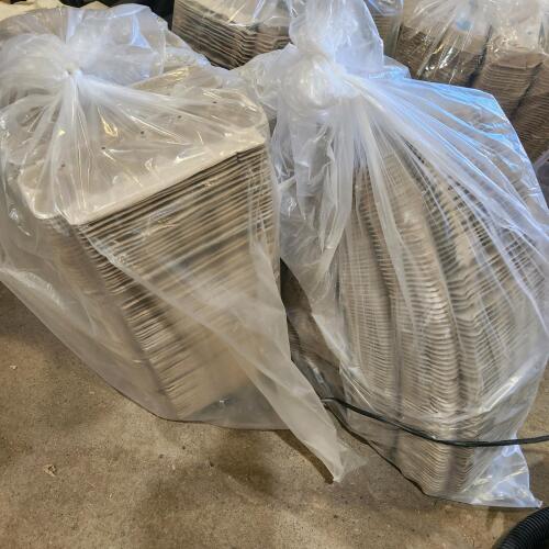 300 Egg cartons