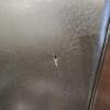 8 Dining room chairs, 1 w damage - 2