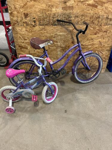 20&rdquo; & 12&rdquo; Kids bikes