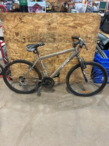 25&rdquo; Bike needs work