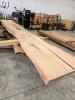 Various sized Maple & Elm kiln dried slabs