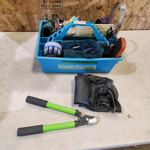 Horse grooming supplies