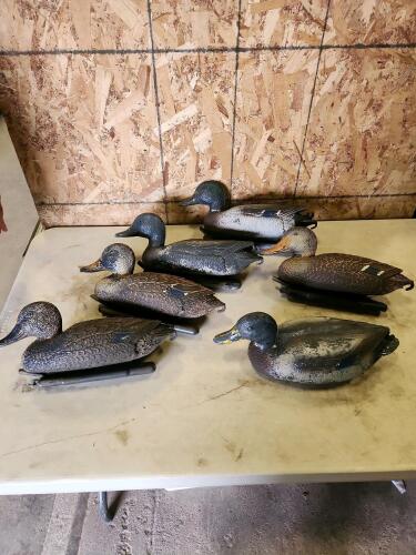 Duck decoys