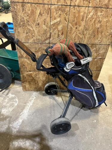 Golf bags w clubs on cart