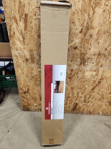 10'x10' Pop up canopy