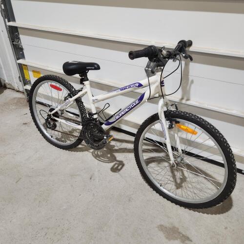 24" Bike