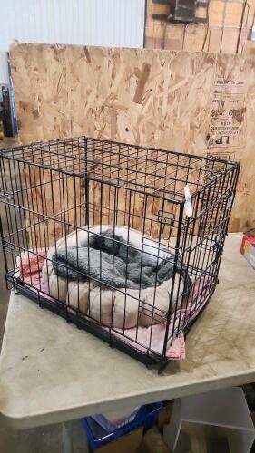 Pet crate 23"L 17"W 19"H