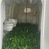 Poly calf hutch w buckets & chain in good condition - 2