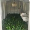 Poly calf hutch w buckets & chain in good condition - 2